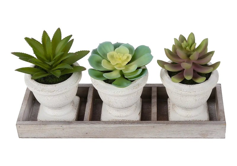 Artificial Plant, Set Of 3, 6' Tall, Succulent, Table, Beige Pots, Contemporary, Modern