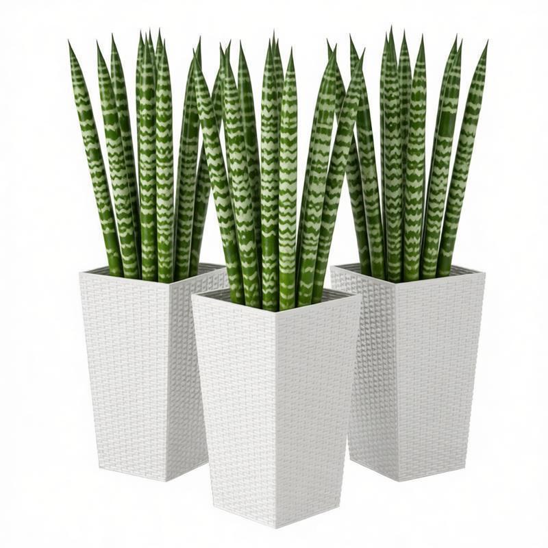 Spacious Plant Pots,Plants Box Set of 3,Tall Planters Box Media 6