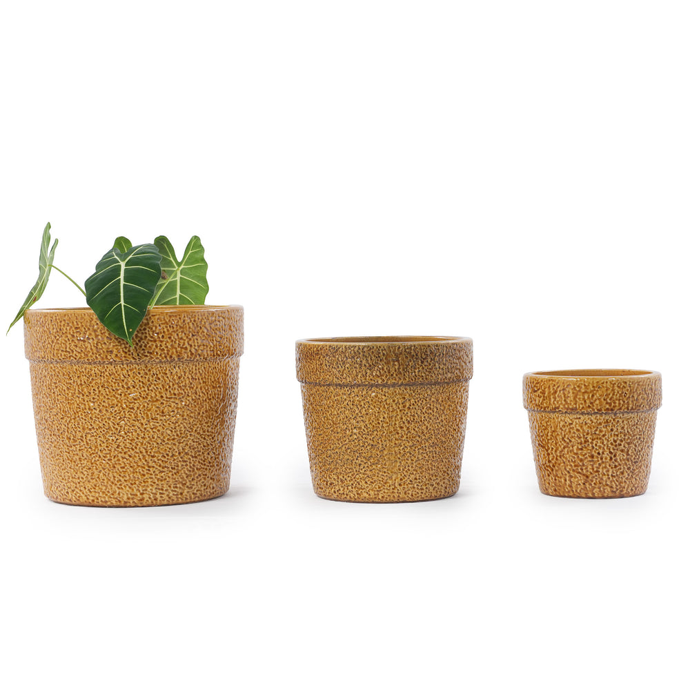 Handmade Ceramic Planter Set of 3, 15/12/9 Inch Diameter, Earth-Tone Speckled Glaze, for Orchids & Indoor Plants, Windowsill & Bookshelf Use, Breathable Clay Media 3