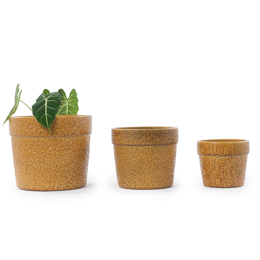 Handmade Ceramic Planter Set of 3, 15/12/9 Inch Diameter, Earth-Tone Speckled Glaze, for Orchids & Indoor Plants, Windowsill & Bookshelf Use, Breathable Clay Media 3
