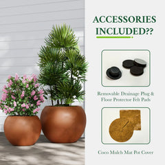 DTY Fiberstone Globe Planter Indoor Outdoor — Lightweight Sphere Ball Pot for Olive Tree, Monstera & Palm | Fiberglass Stone | UV Resistant, Drainage Hole | 2 Coco Mats | Black | 12.6" D × 10" H perspective