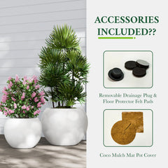 DTY Fiberstone Globe Planter Indoor Outdoor — Lightweight Sphere Ball Pot for Olive Tree, Monstera & Palm | Fiberglass Stone | UV Resistant, Drainage Hole | 2 Coco Mats | Black | 12.6" D × 10" H perspective