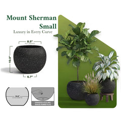 DTY Fiberstone Globe Planter Indoor Outdoor — Lightweight Sphere Ball Pot for Olive Tree, Monstera & Palm | Fiberglass Stone | UV Resistant, Drainage Hole | 2 Coco Mats | Black | 12.6" D × 10" H perspective