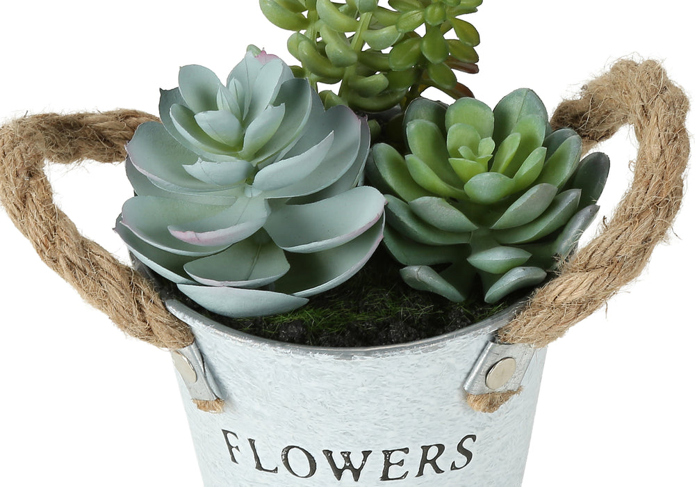Artificial Plant, Set Of 2, 7' Tall, Succulent, Table, White Metal Pots, Contemporary, Modern Media 5