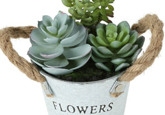 Artificial Plant, Set Of 2, 7' Tall, Succulent, Table, White Metal Pots, Contemporary, Modern perspective