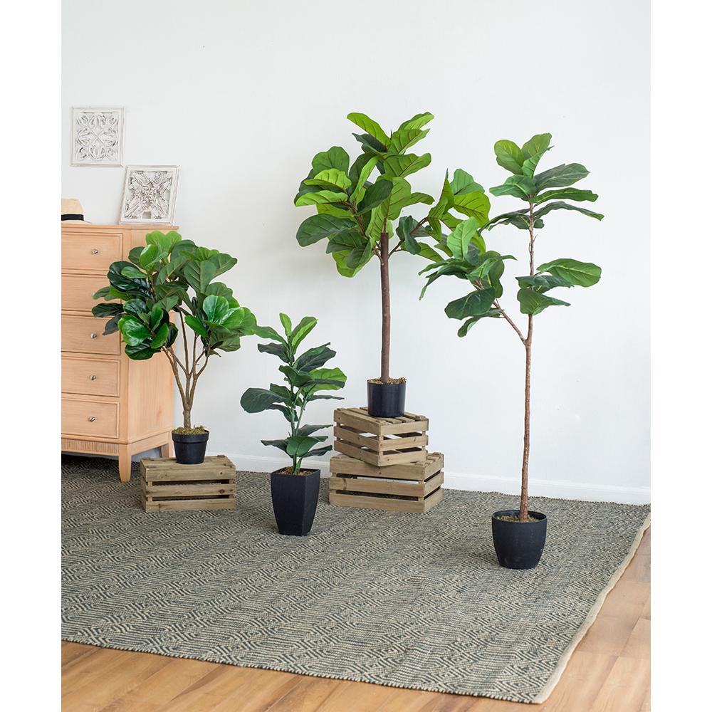 25x25x52'H Fiddle Fig Leaf Tree, 40 Leaves Media 4