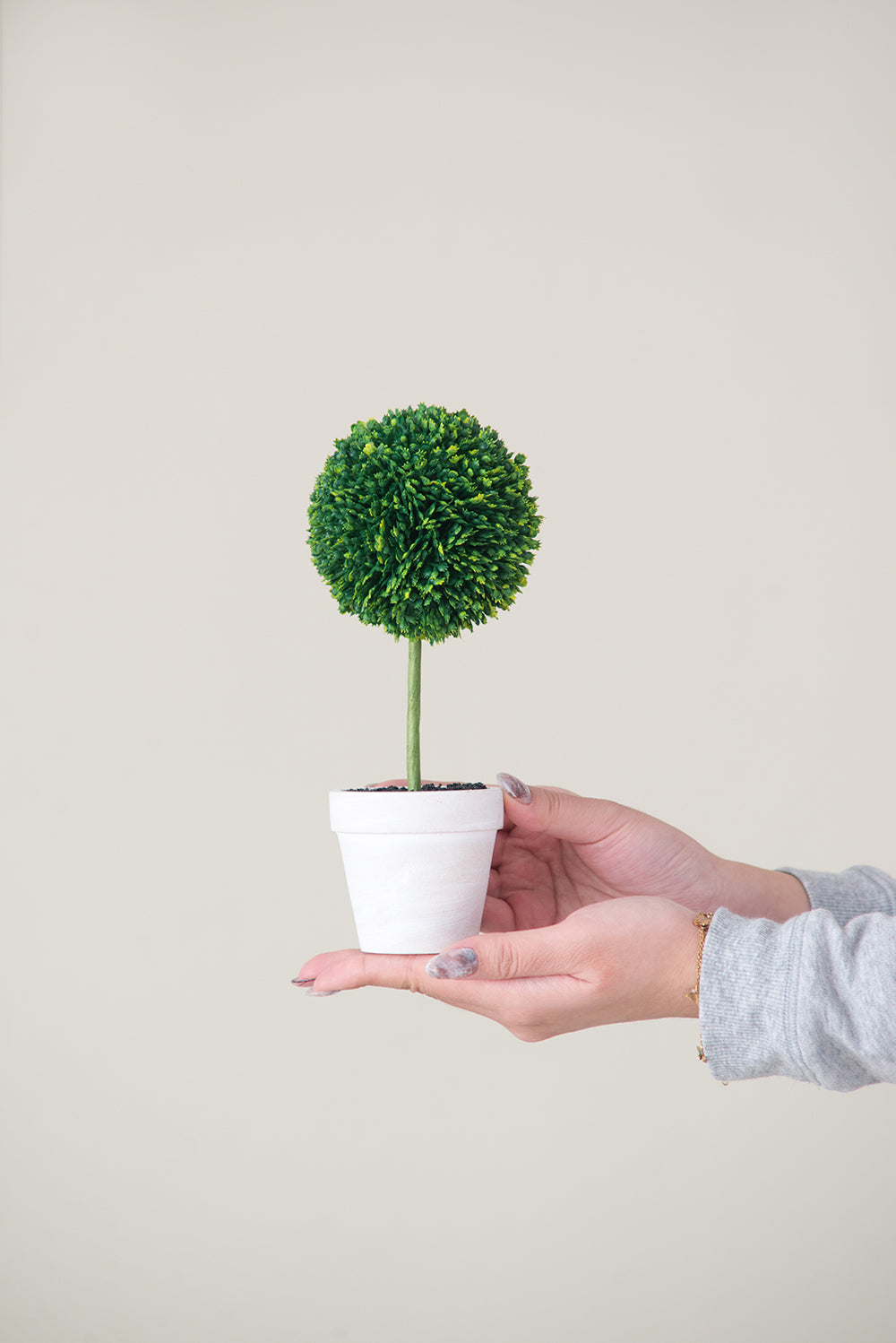 S/3 Mini Faux Topiaries in Cream Pot, 10.6x3.5x9.5' Green Media 10