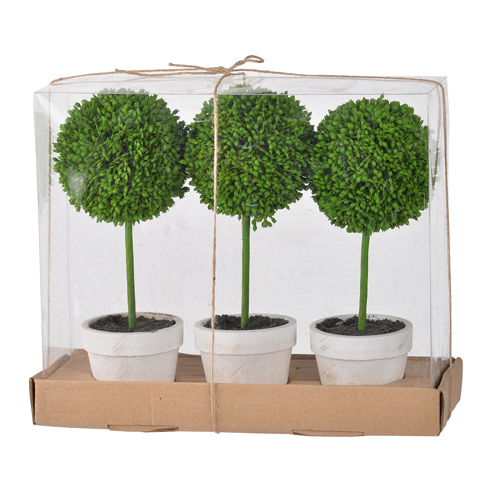 S/3 Mini Faux Topiaries in Cream Pot, 10.6x3.5x9.5' Green Media 2
