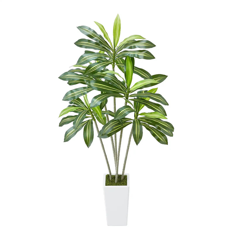 6ft Artificial Dracaena Tree Fake Plant with White Planter Indoor