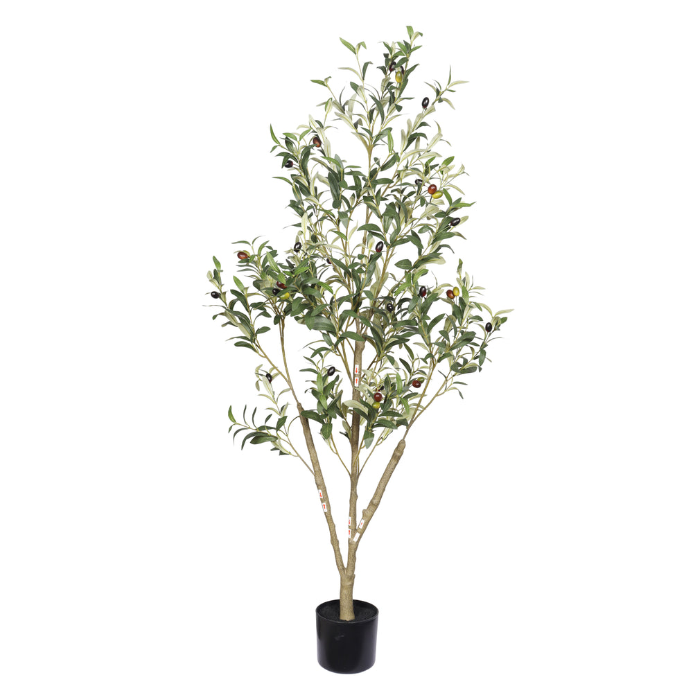 5' Artificial  Olive Tree in Black Plastic Pot, 1pc/set Media 4