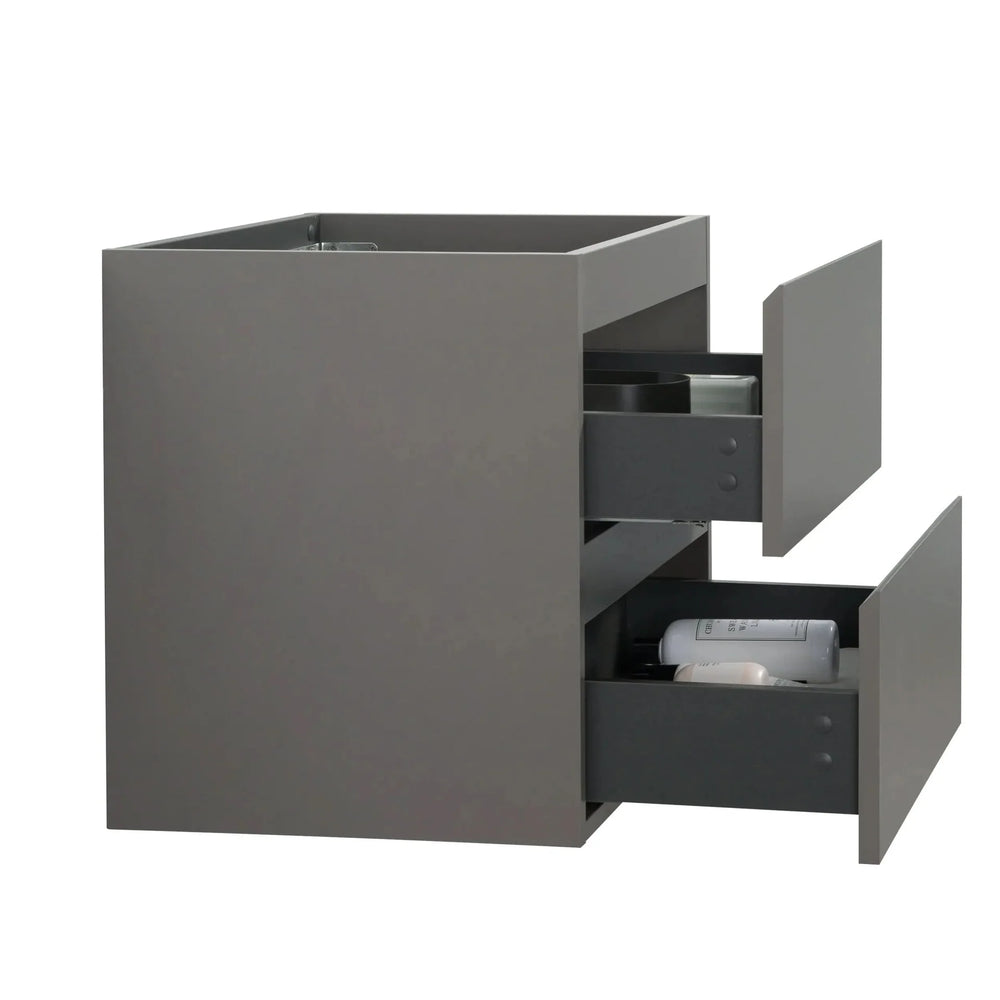 Alice-24W-102,Wall mount cabinet WITHOUT basin, Gray color, with two drawers, Pre-assembled - DTY Store