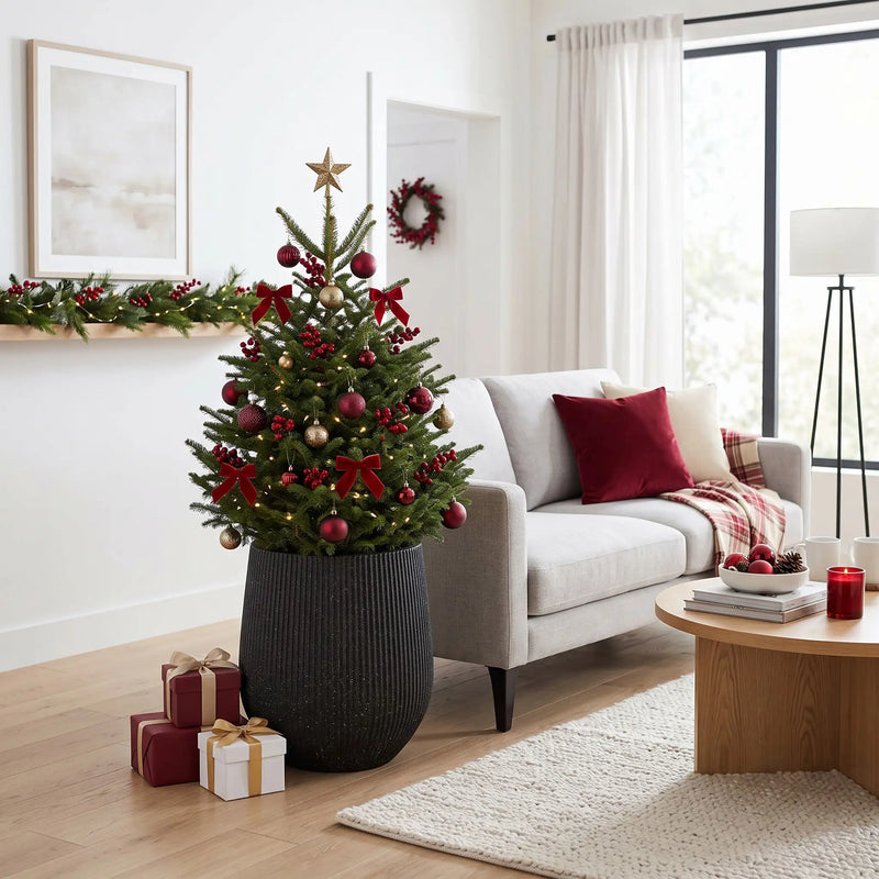 DTY Signature Mount Wilson Modern Indoor Outdoor Fiberstone Tapered Planter, Lightweight, Weather Resistant Garden Pot with Drainage Hole & Rubber Plug (Black, 11'' D x 12'' H)