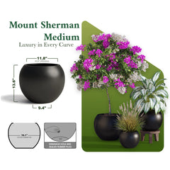 DTY Fiberstone Globe Planter Indoor Outdoor — Lightweight Sphere Ball Pot for Olive Tree, Monstera & Palm | Fiberglass Stone | UV Resistant, Drainage Hole | 2 Coco Mats | Black | 12.6" D × 10" H perspective