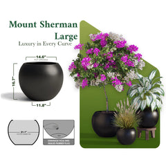 DTY Fiberstone Globe Planter Indoor Outdoor — Lightweight Sphere Ball Pot for Olive Tree, Monstera & Palm | Fiberglass Stone | UV Resistant, Drainage Hole | 2 Coco Mats | Black | 12.6" D × 10" H perspective