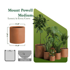 DTY Signature Mount Powell perspective