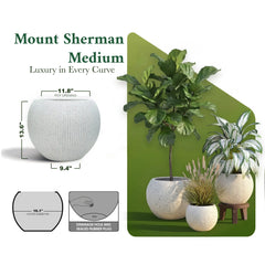 DTY Fiberstone Globe Planter Indoor Outdoor — Lightweight Sphere Ball Pot for Olive Tree, Monstera & Palm | Fiberglass Stone | UV Resistant, Drainage Hole | 2 Coco Mats | Black | 12.6" D × 10" H perspective