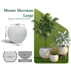 DTY Fiberstone Globe Planter Indoor Outdoor — Lightweight Sphere Ball Pot for Olive Tree, Monstera & Palm | Fiberglass Stone | UV Resistant, Drainage Hole | 2 Coco Mats | Black | 12.6" D × 10" H perspective