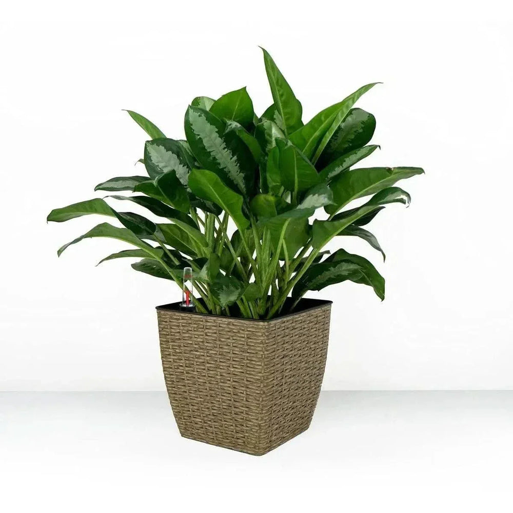 Self-Watering Wicker & Plastic Indoor Outdoor Planters Garden Decor Set Media 65