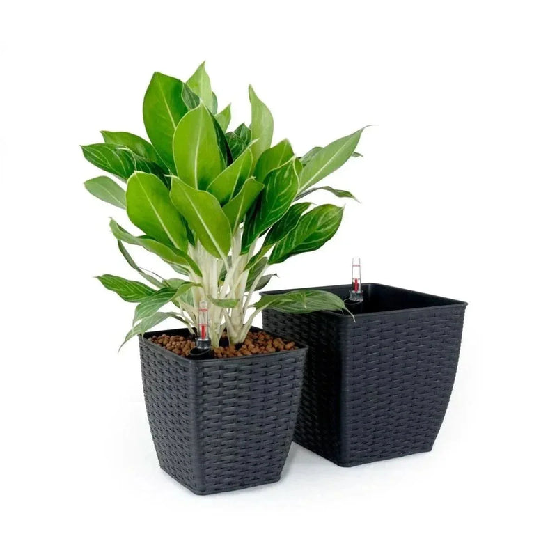 Self-Watering Wicker & Plastic Indoor Outdoor Planters Garden Decor Set