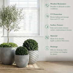 DTY Mount Belford 17.3'' D x 14.8'' H (Pot Opening 15.7") Fiberstone Egg Shaped Planter with Drainage Hole, Smooth Finishes, Weather Resistant for Indoor and Outdoor, 2 Extra Coco Mats - Large, White perspective