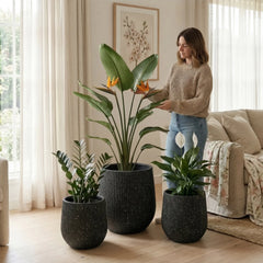 DTY Signature Mount Wilson Modern Indoor Outdoor Fiberstone Tapered Planter, Lightweight, Weather Resistant Garden Pot with Drainage Hole & Rubber Plug (Black, 11'' D x 12'' H) perspective