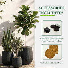 DTY Signature Mount Wilson Modern Indoor Outdoor Fiberstone Tapered Planter, Lightweight, Weather Resistant Garden Pot with Drainage Hole & Rubber Plug (Black, 11'' D x 12'' H) perspective