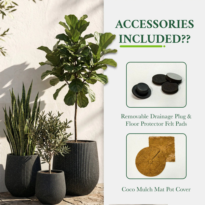 DTY Signature Mount Wilson Modern Indoor Outdoor Fiberstone Tapered Planter, Lightweight, Weather Resistant Garden Pot with Drainage Hole & Rubber Plug (Black, 11'' D x 12'' H)