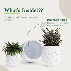 DTY Signature Mount Wilson Modern Indoor Outdoor Fiberstone Tapered Planter, Lightweight, Weather Resistant Garden Pot with Drainage Hole & Rubber Plug (Black, 11'' D x 12'' H) perspective