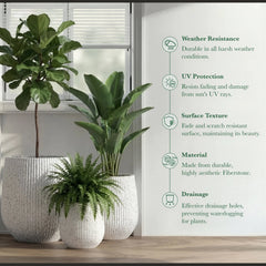 DTY Signature Mount Wilson Modern Indoor Outdoor Fiberstone Tapered Planter, Lightweight, Weather Resistant Garden Pot with Drainage Hole & Rubber Plug (Black, 11'' D x 12'' H) perspective