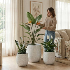 DTY Signature Mount Wilson Modern Indoor Outdoor Fiberstone Tapered Planter, Lightweight, Weather Resistant Garden Pot with Drainage Hole & Rubber Plug (Black, 11'' D x 12'' H) perspective