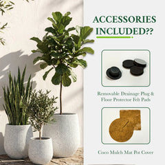 DTY Signature Mount Wilson Modern Indoor Outdoor Fiberstone Tapered Planter, Lightweight, Weather Resistant Garden Pot with Drainage Hole & Rubber Plug (Black, 11'' D x 12'' H) perspective