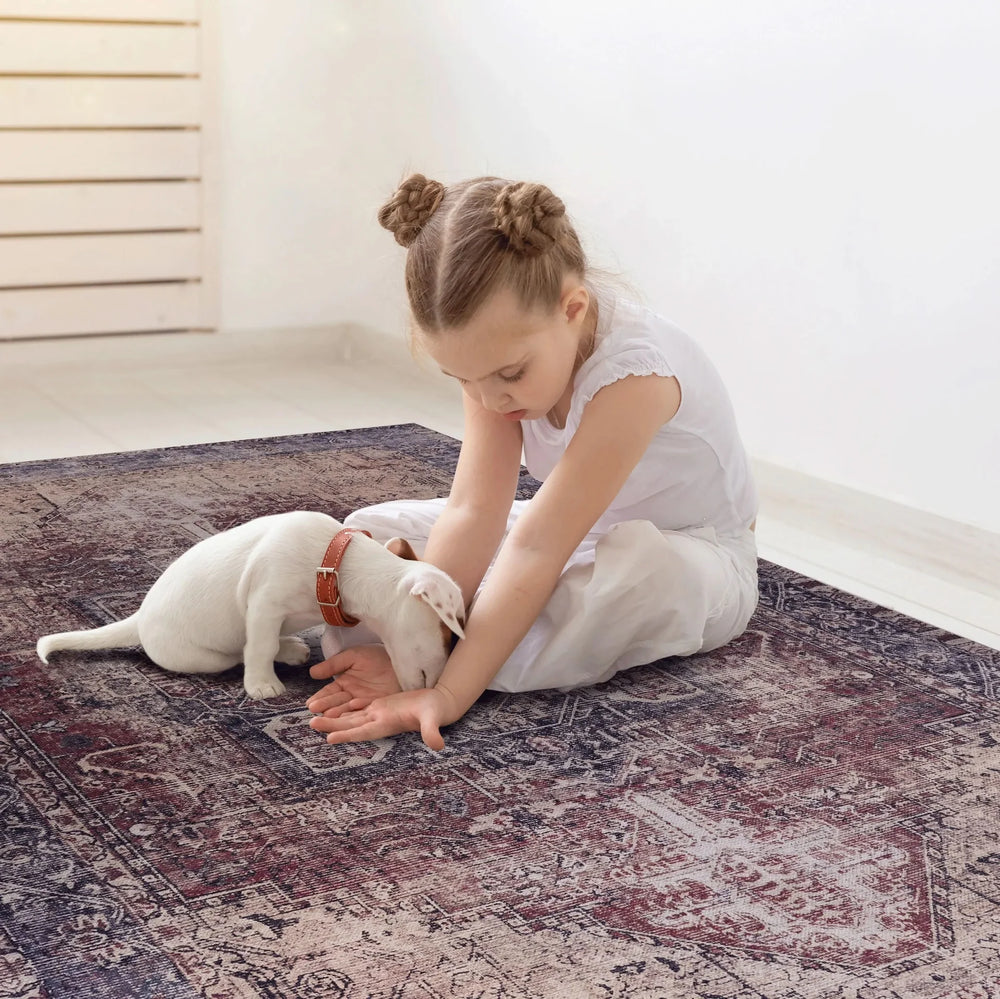 Polyester Chenille Area Rug Washable Six By Nine Feet Modern Media 5
