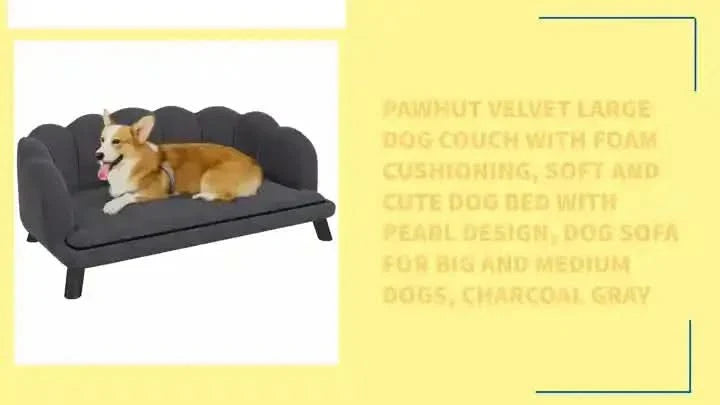 Velvet Dog Sofa & Foam Cushioning & For Large & Medium Dogs In Charcoal Gray Media 4
