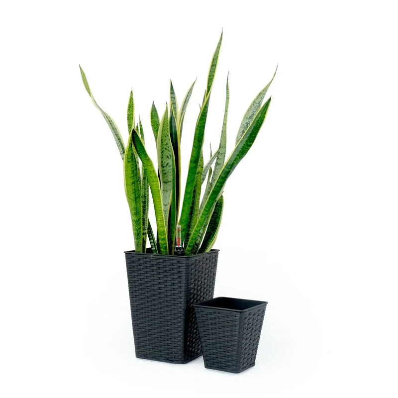 Self-Watering Wicker & Plastic Indoor Outdoor Planters Garden Decor Set