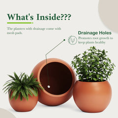 DTY Fiberstone Globe Planter Indoor Outdoor — Lightweight Sphere Ball Pot for Olive Tree, Monstera & Palm | Fiberglass Stone | UV Resistant, Drainage Hole | 2 Coco Mats | Black | 12.6" D × 10" H perspective