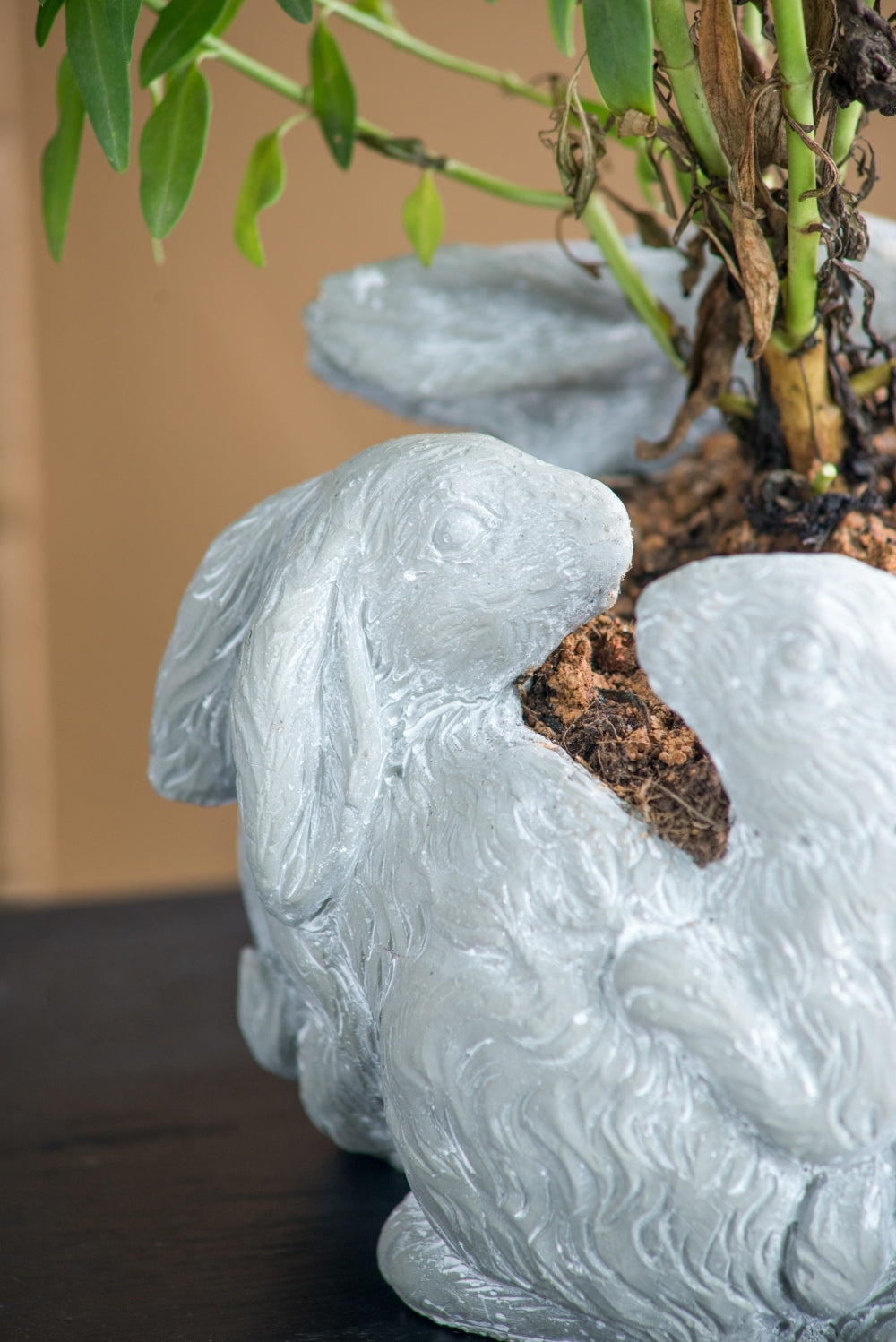 10x8x6.5' 5 Bunny Cement Planter Media 11