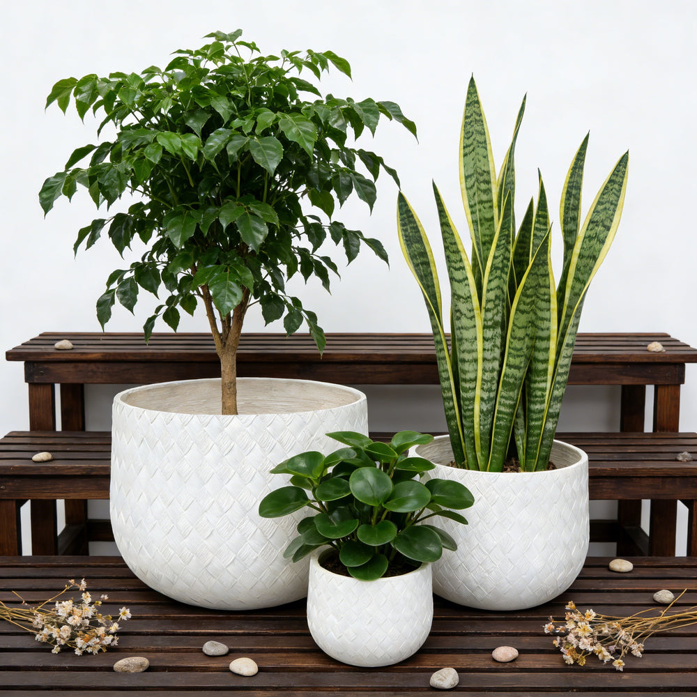Assorted Sizes Magnesium Oxide Round Planter,21.65''+14.17''+8.66'' Dia Set of 3 Planter,Outdoor Indoor Plant Pot with Drainage Hole, White Color  with Weaving Pattern Planter for Home Garden Patio Media 1