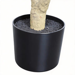 7' Artificial Olive Tree in Black Plastic Pot, 1pc/set perspective