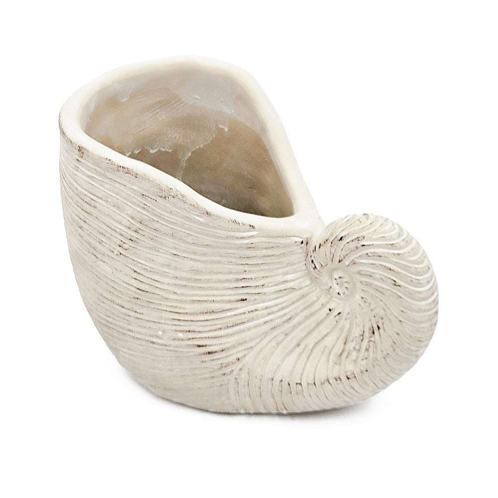 8.5x5.5x6.3' Sand and Cement Nautilus Shell Planter with Textured Beige Finish Media 2