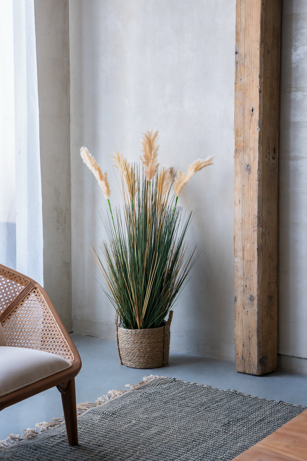 D14x45'H Potted Pampas Grass Plant Media 5