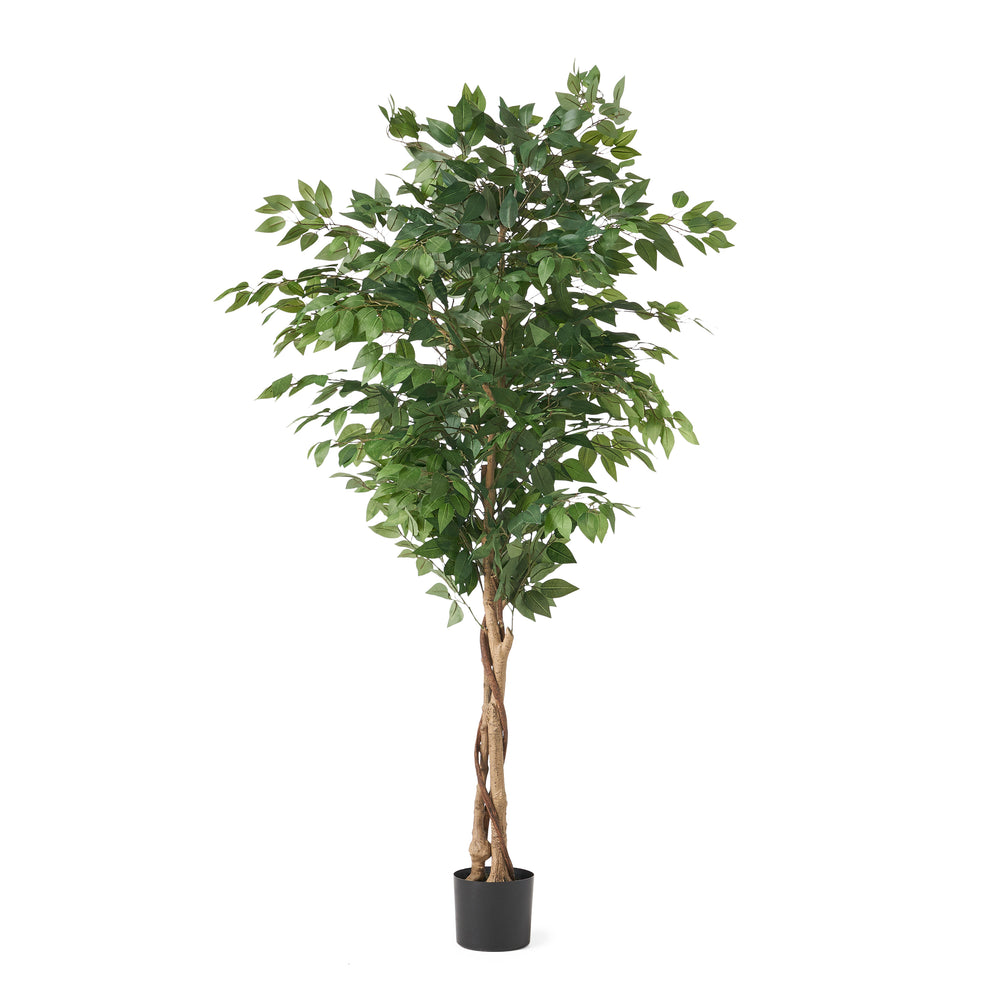 180CM ARTIFICIAL FICUS TREE Media 2