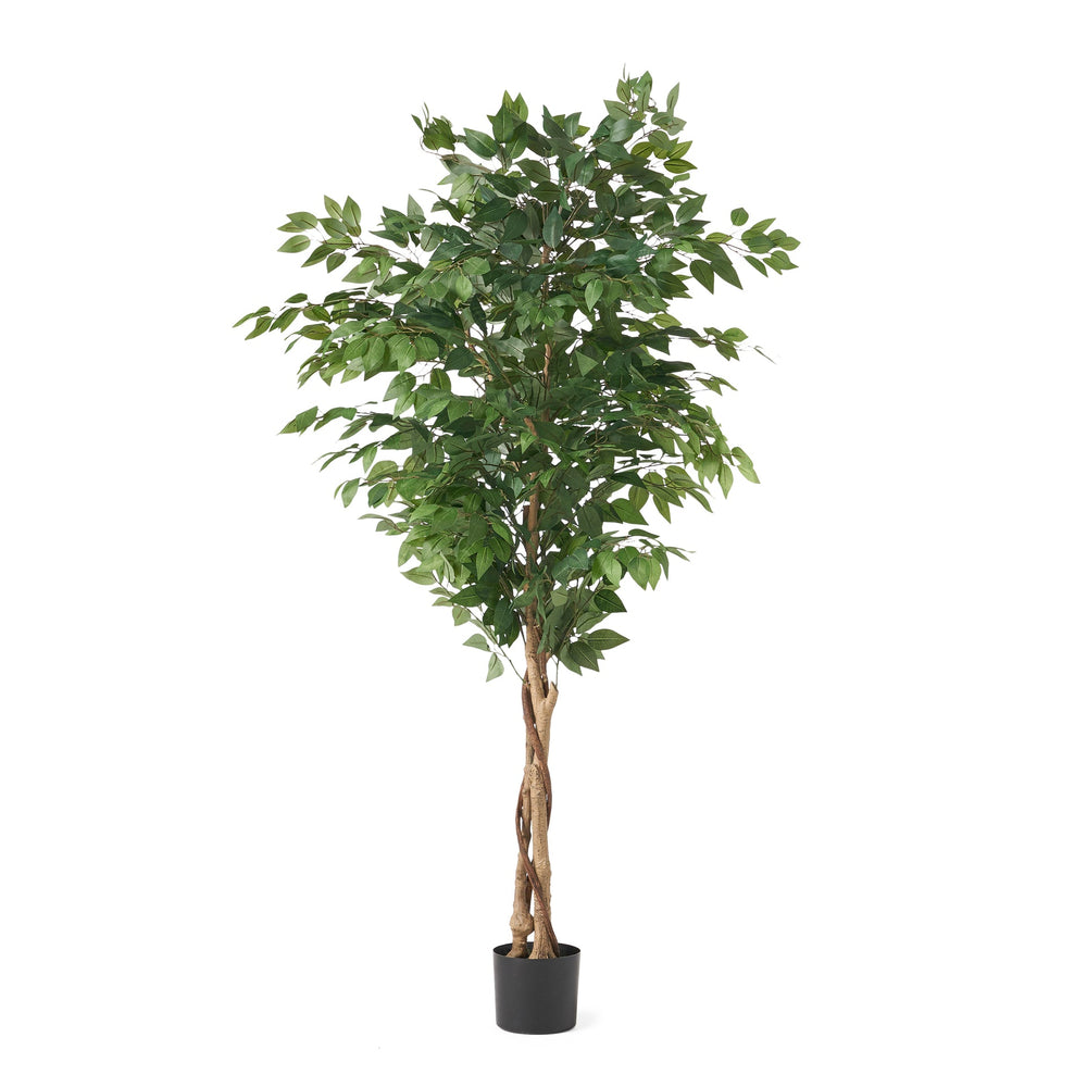180CM ARTIFICIAL FICUS TREE Media 2