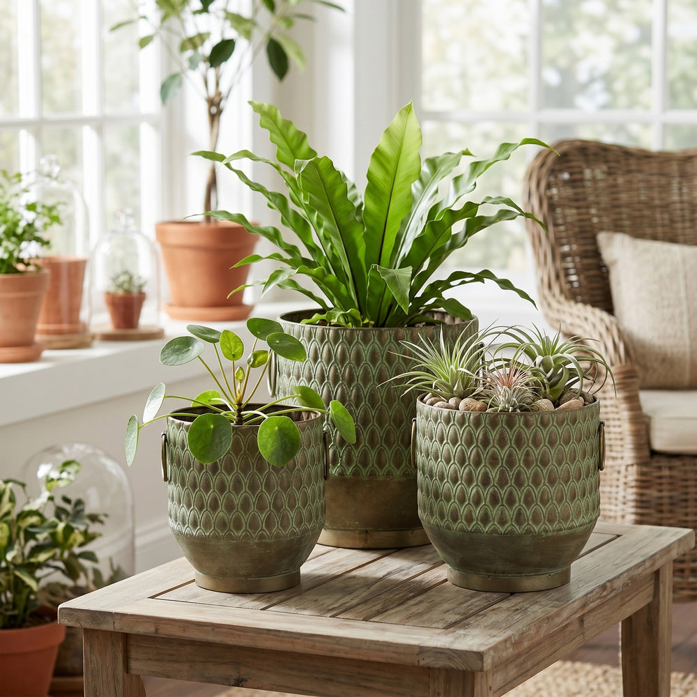 S/3 Textured Green Iron Planters with Tapered Bases Media 8
