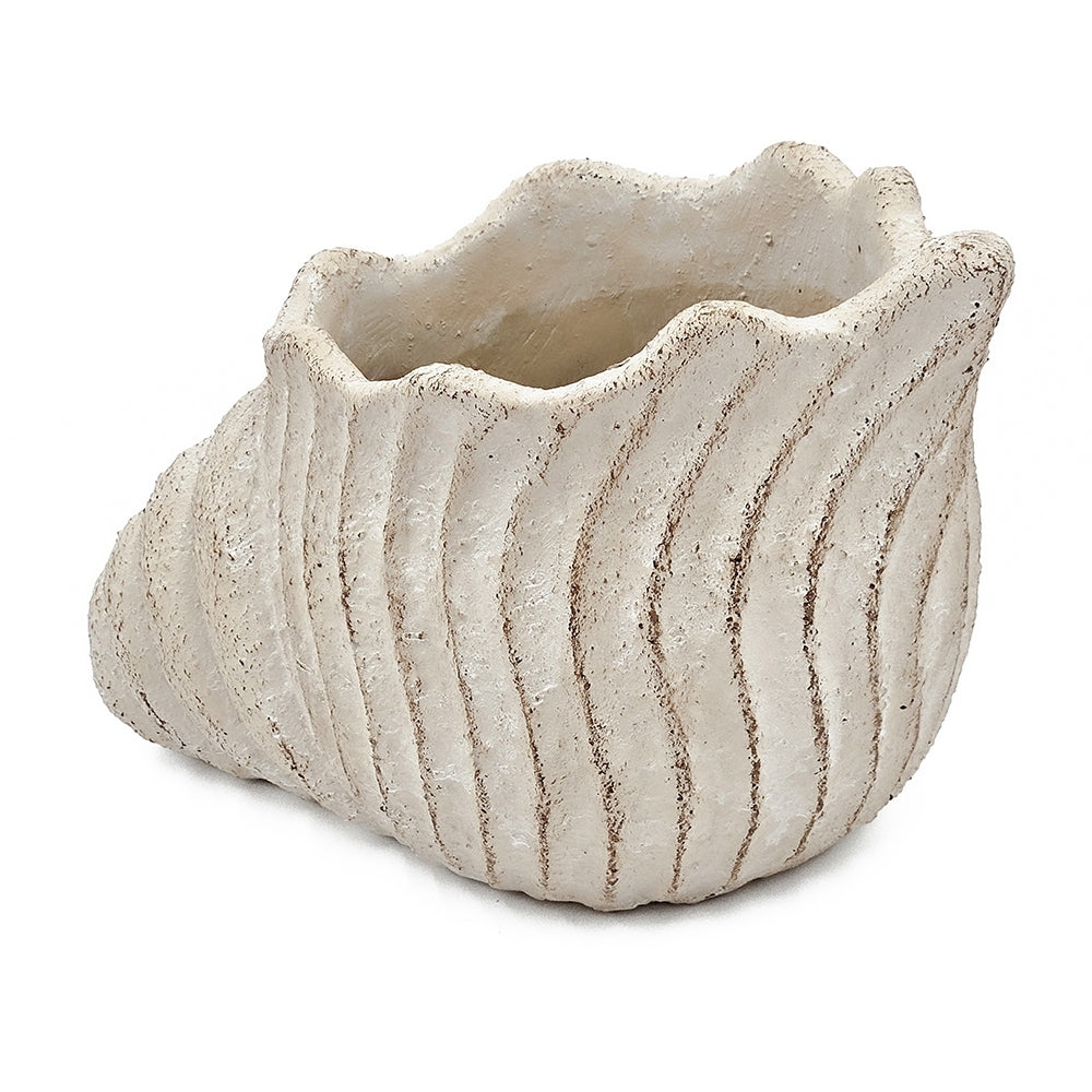 11.5x7x7' Sand and Cement Nautilus Shell Planter with Textured Beige Finish Media 6