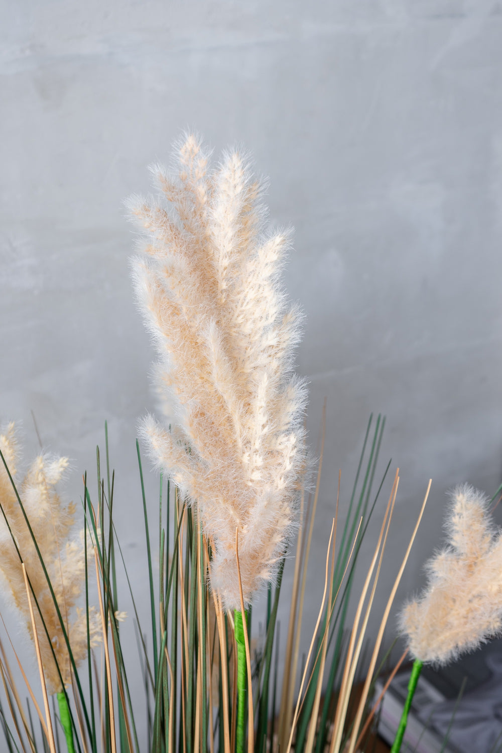 D14x45'H Potted Pampas Grass Plant Media 7