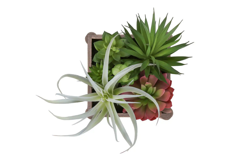 Artificial Plant, Set Of 2, 10' Tall, Succulent, Table, Brown Wooden Pots, Contemporary, Modern