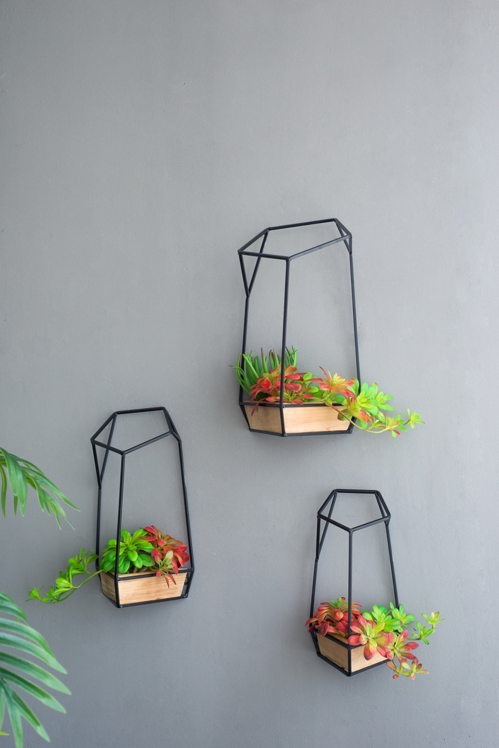 S/3 Felix Wall Planter Media 3