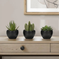 Artificial Succulent Plants Set of 3, 6' Tall, Green Faux Indoor Decor in Black Melamine Pots, Tabletop Greenery for Home Office perspective