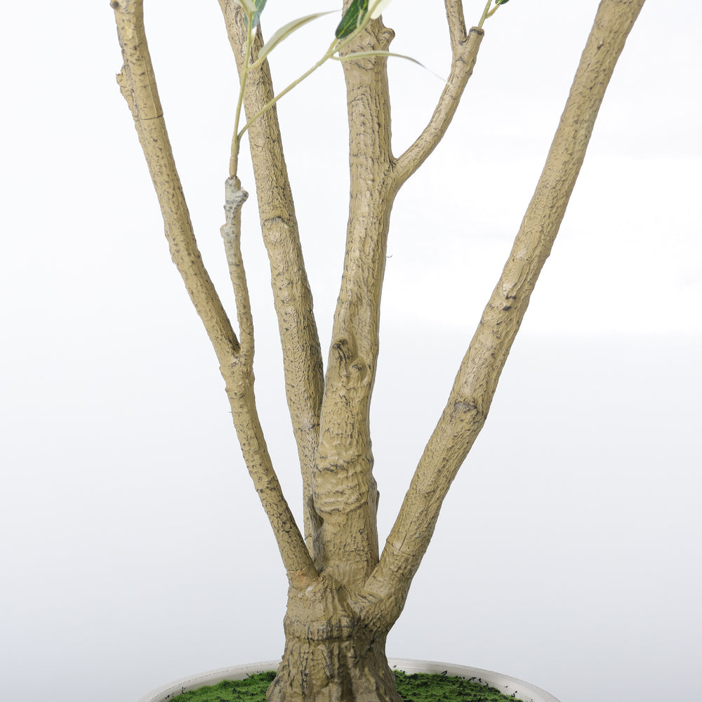 8FT Artificial Olive Tree With Big Decorative White Planter, Tall Indoor & Covered Outdoor Decorative Tree, 1pc/set Media 13