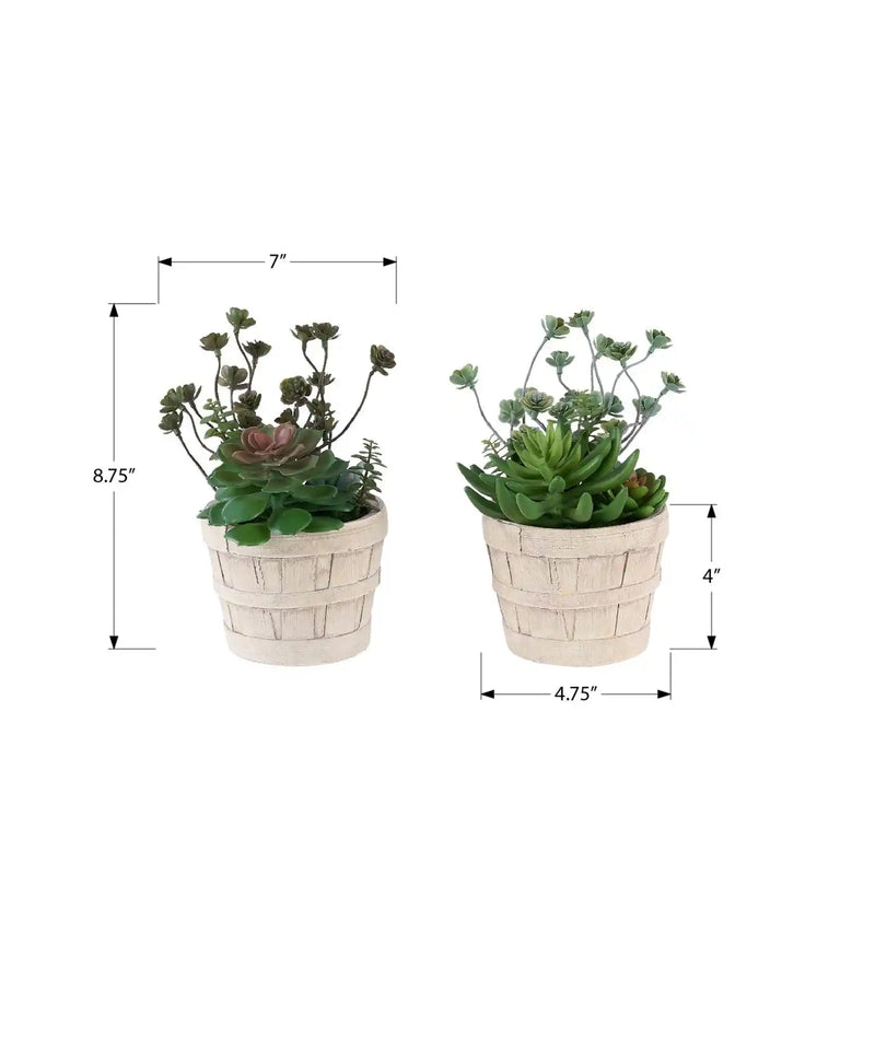 Artificial Plant, Set Of 2, 9' Tall, Succulent, Table, Beige Cement Pots, Contemporary, Modern